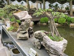 -贵州省植物园