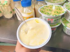 -德禄酸奶(莫家街店)