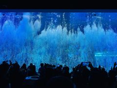 -哈尔滨波塞冬海底世界