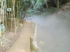 -川西竹海景区