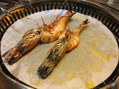 -熊出没日本烧肉放题