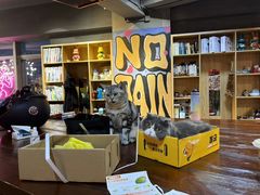 -KingBull私教健身&格斗订制(龙井商业中心店)