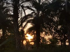 -瑶湖郊野森林公园