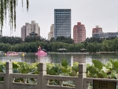 -莲花池公园