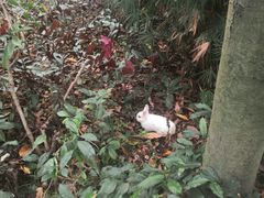 -人民公园(罗湖区)