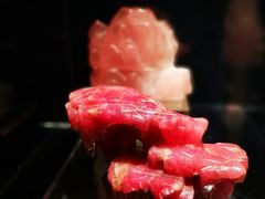 -中国地质博物馆