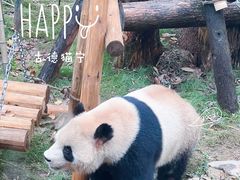 -杭州动物园