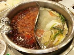-朱氏胖子烂火锅(洪崖洞店)