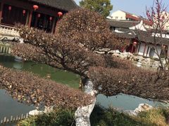 -檀园