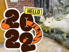 -上海大自然野生昆虫馆