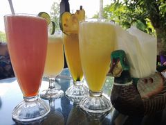 -脏鸭餐厅(乌布总店)