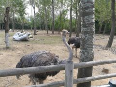 -大连森林动物园