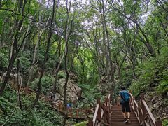 -大岭沟猕猴桃谷风景区