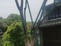 -口岸雕花楼