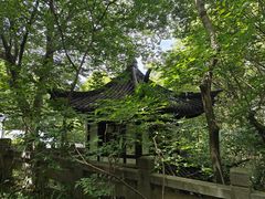 -上海佘山国家森林公园西佘山园