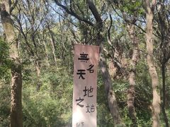-句容茅山景区