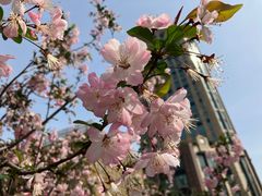 -常熟路(地铁站)