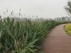 -星巴克(成都科学城店)