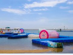 -碧海金沙