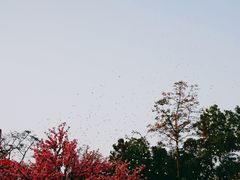 -广州长隆欢乐世界