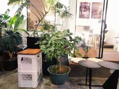 -the fall kaffe乐否咖啡