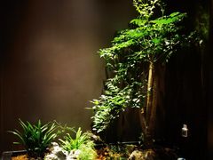 -青螺餐厅·家宴(松雅湖店)