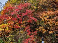 -沈阳辉山风景区