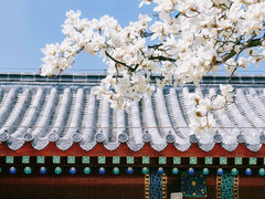 -湛山寺