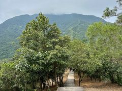 -梧桐山风景名胜区