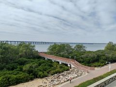 -宝安西湾红树林湿地公园