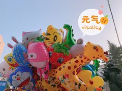 -南山公园