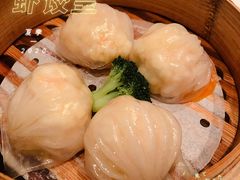 金牌虾饺皇-御花园酒店(希尔顿店)