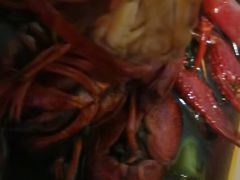 -徐嘉赫龙虾馆