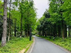 -西溪国家湿地公园