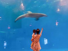 -华夏文旅海洋公园