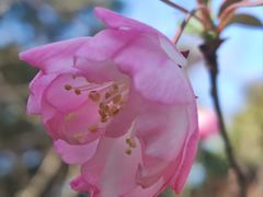 -长广溪湿地公园