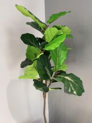 -不迫先生专业男士剪发