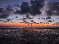 -启东黄金海滩景区