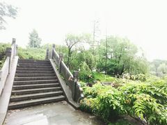 -日出青木·杭帮菜名店