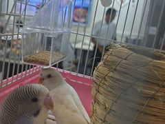 -富临港·蒸汽海鲜·手抓海鲜·炒菜(栈桥店)