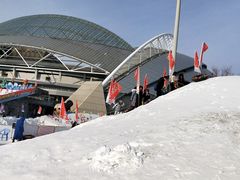 -沈阳奥体冰雪嘉年华
