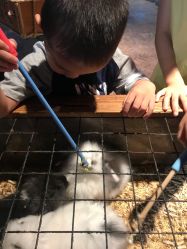 -酷嗒动物文化乐园(cutezoo西溪乐天城店)