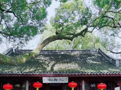 -上海醉白池公园