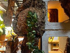 -自由生长植物工作室(深港花卉中心店)