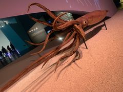 -贝林大翅鲸简餐厅(国家海洋博物馆店)