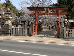 -奈良公园