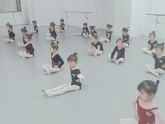 -西安小天鹅艺术团(金花路校区)