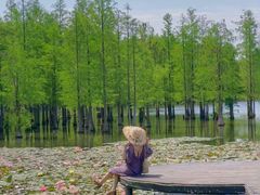 -白鹭湾湿地公园