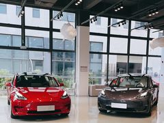 -TESLA 特斯拉(深圳观澜特斯拉直营钣喷中心)