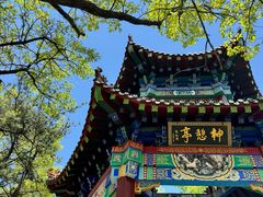 -沂蒙山旅游区云蒙景区(蒙山国家森林公园)
